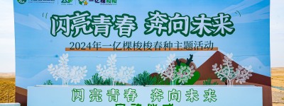 筑梦阿拉善 | 欧大师门窗开启沙漠绿州公益之旅