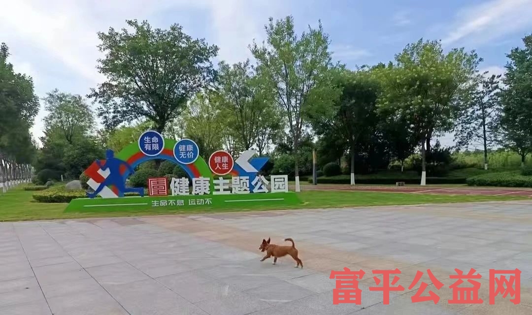 大美富平 | 夏日傍晚石川河畔景色撩人缩略图